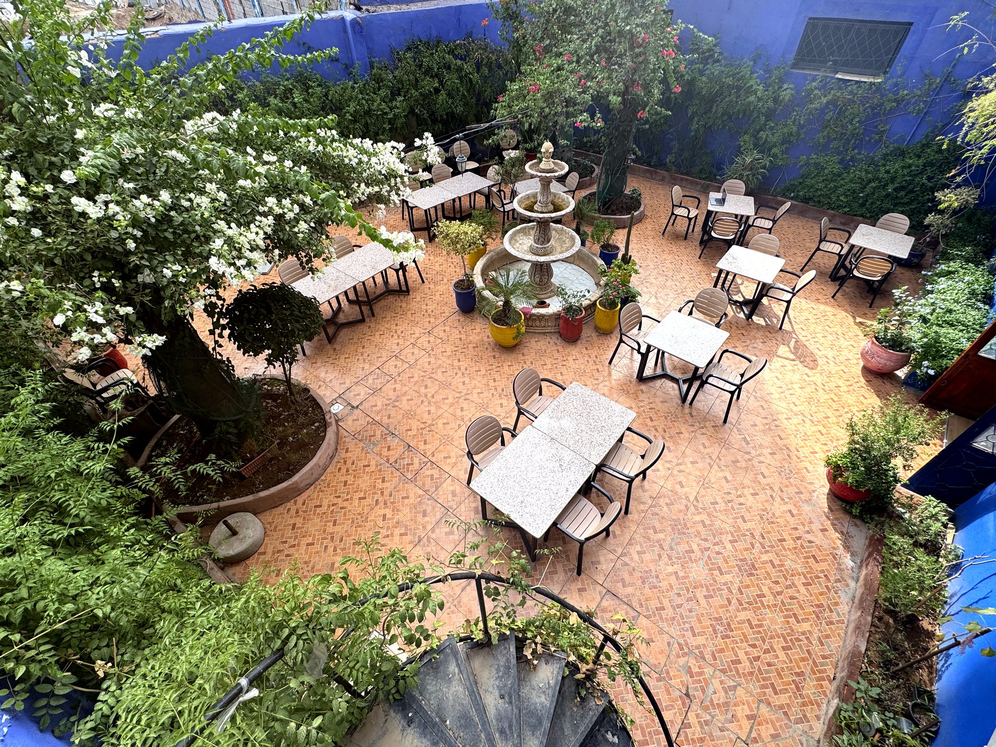 Vue aérienne de la terrasse et de ses tables sous les bougainvillées