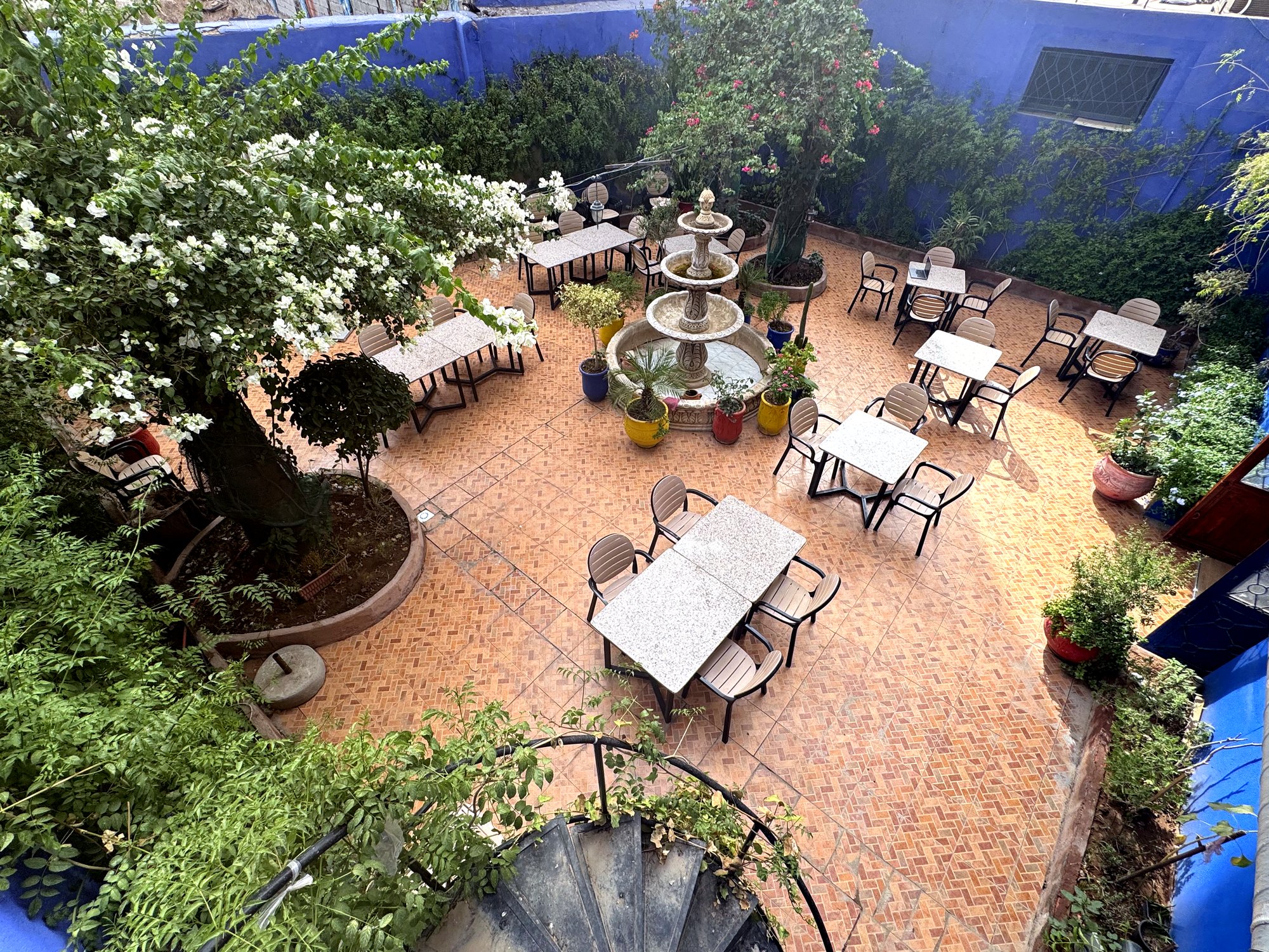 Vue d'ensemble du jardin avec fontaine, palmiers et mur bleu