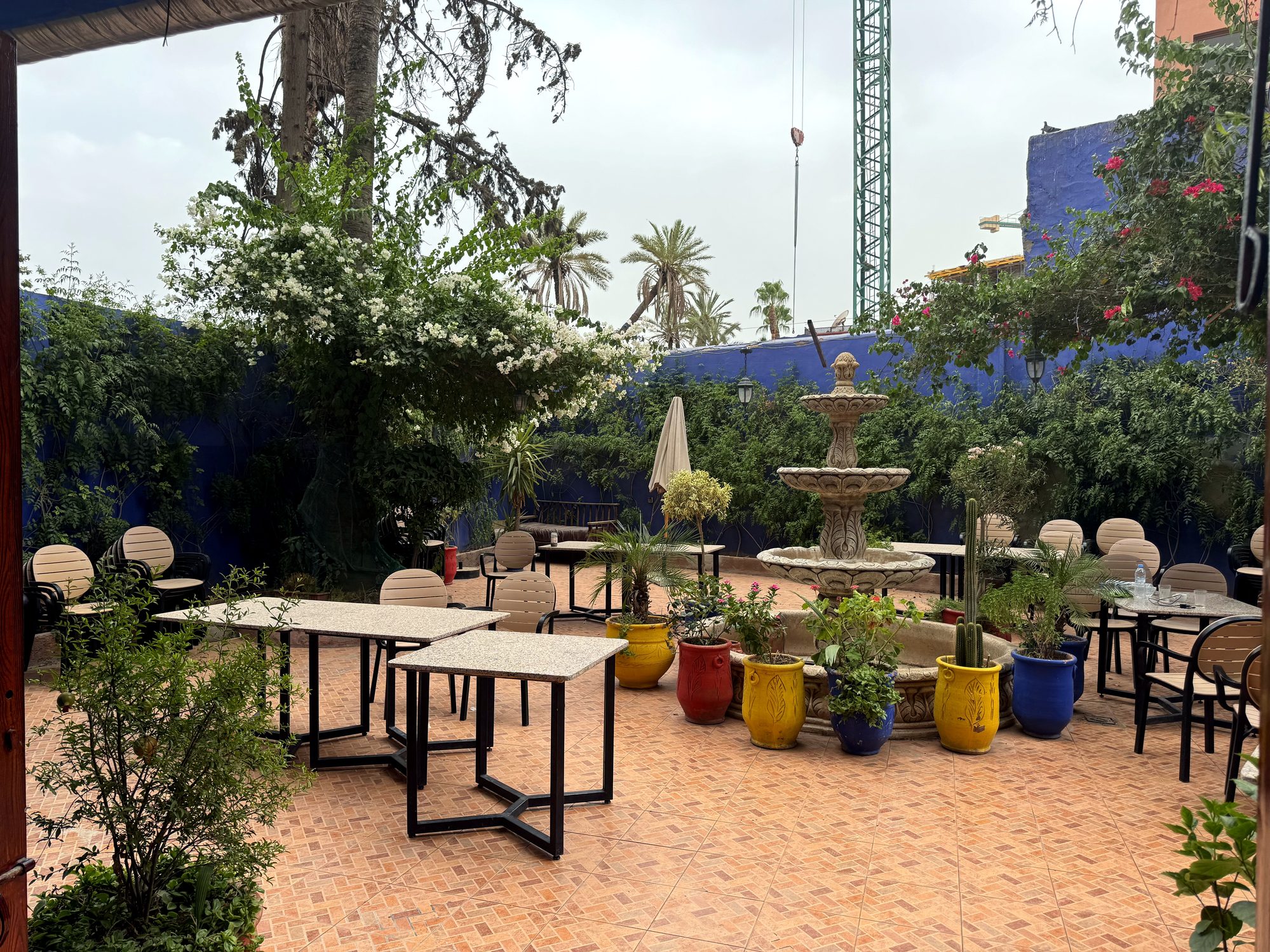 Vue large de la terrasse avec tables et palmiers